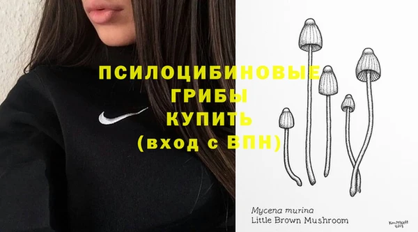 прущая мука Богородск